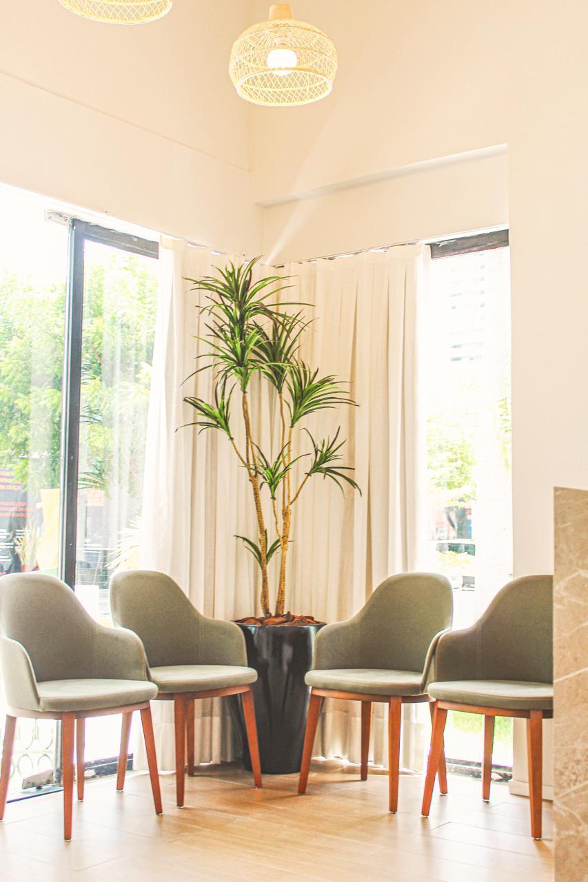 Sala de espera com poltronas, planta e luz natural — Edna Designer